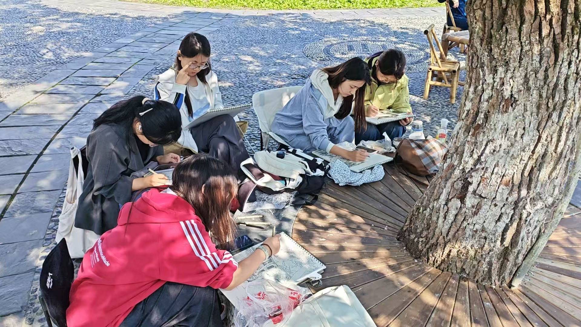 微信图片_20261025132918_57_2.jpg